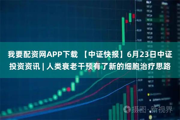 我要配资网APP下载 【中证快报】6月23日中证投资资讯 | 人类衰老干预有了新的细胞治疗思路