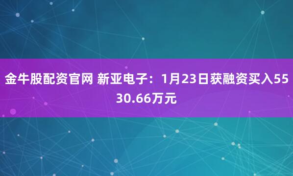 金牛股配资官网 新亚电子：1月23日获融资买入5530.66万元