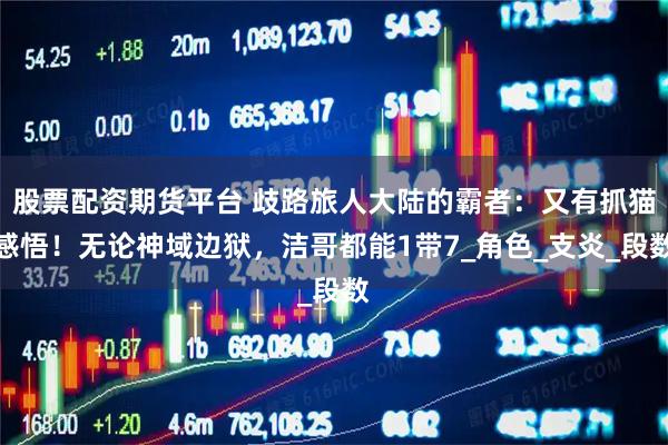 股票配资期货平台 歧路旅人大陆的霸者：又有抓猫感悟！无论神域边狱，洁哥都能1带7_角色_支炎_段数