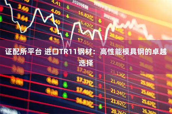 证配所平台 进口TR11钢材:高性能模具钢的卓越选择